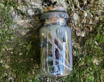 Botella de hechizo de protección ~ Estilo colgante ~ Para la protección del hogar