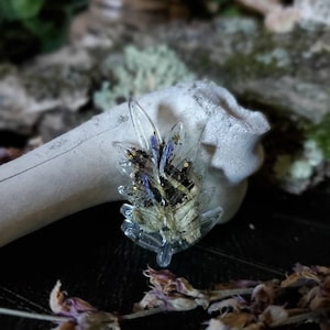 Fern Leaf Resin ~ Fern, Bark, Flowers