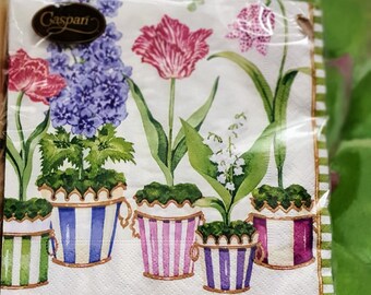 Caspari Paper suculentas Verde Floral Servilletas 20 Pack 33cm Sq 3 capas Caspari Paper suculentas Verde Floral Servilletas 20 Pack 33cm Sq 3 capas