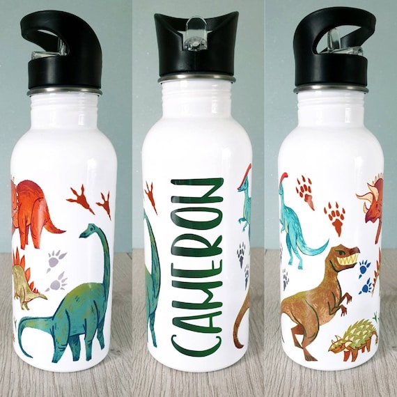 Scary Dinosaurs water bottle personalised bottle metal water bottle reusable bottle gift for kids Dinosaurs gift Dinosaur birthday party