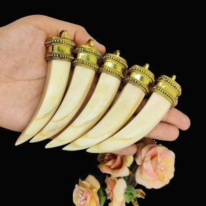 May include: Five gold-trimmed ivory-colored pendants shaped like animal teeth. The pendants are arranged in a row, with the largest pendant at the left and the smallest pendant at the right.