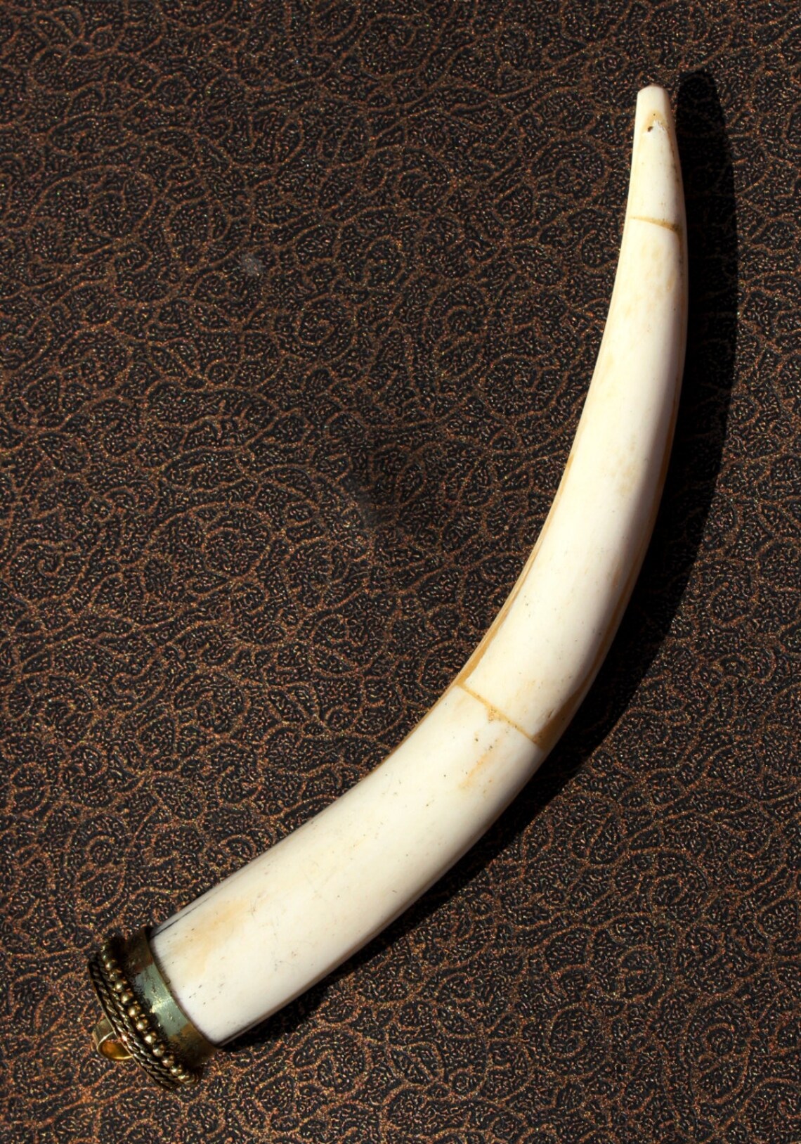 1 pc 139x21mm White & Brown Bone Tusk Horn Pendant / Cow Bone Etsy