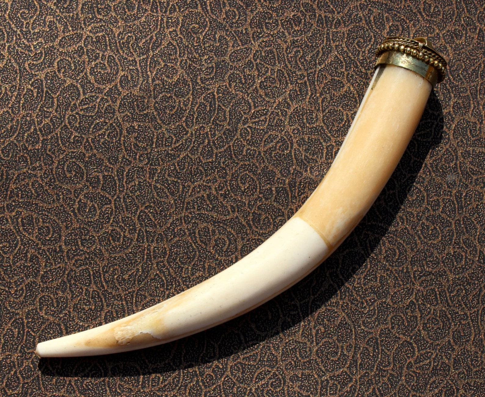 1 pc 139x21mm White & Brown Bone Tusk Horn Pendant / Cow Bone Etsy