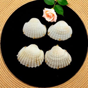 Gold Plated Prong Set Natural Seashell Pendant | Beach Jewelry Charm | DIY Necklace Making Supplies | Ocean Shell Pendant | Jewelry Supply