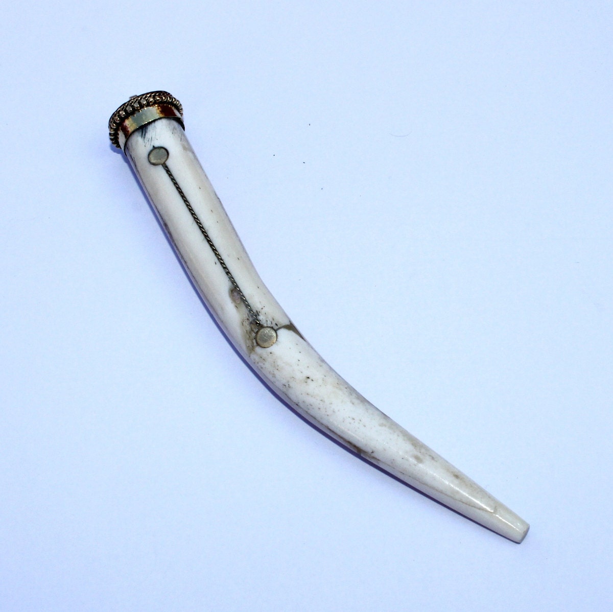 1 pc White Bone Tusk Horn Pendant / Size 145x20mm / Bone Tusk Etsy