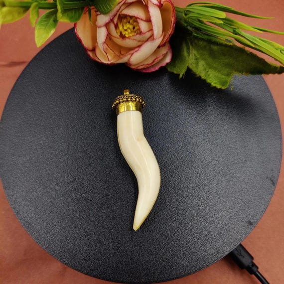 希少バッファローボーン骨