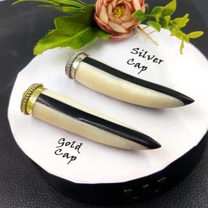 May include: Two decorative handles with black and white stripes. The handle on the left has a gold cap, and the handle on the right has a silver cap. The text "Gold Cap" and "Silver Cap" is written below the handles.