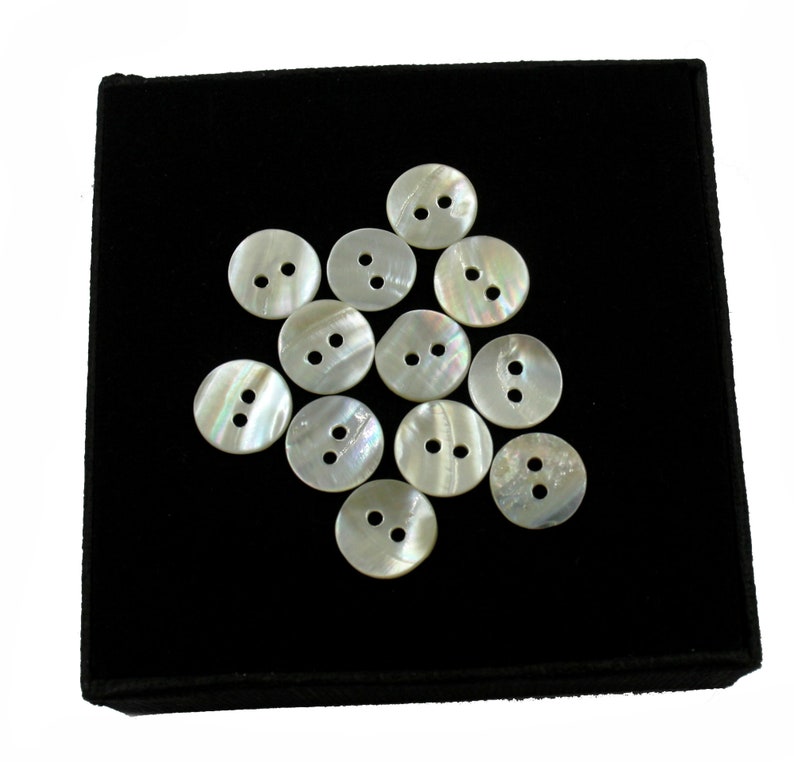 May include: A collection of 12 white mother of pearl buttons with two holes each, displayed on a black velvet background.