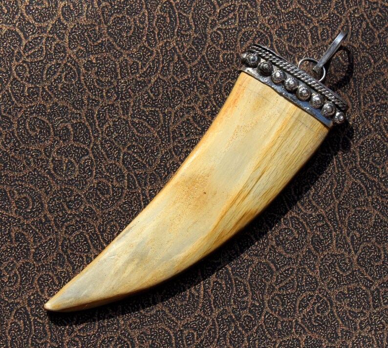 1 Pc 96x29mm Brown Bone Tusk Horn Pendant / Cow Bone Tusk Etsy