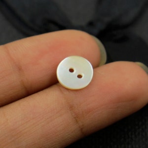 May include: A white, round, mother-of-pearl button with two holes.