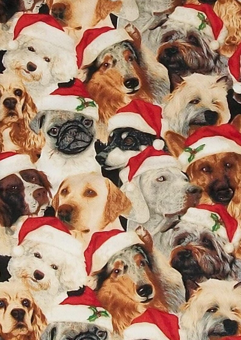 Pet Canine Animal Handmade Holiday Christmas Stocking Boot Puppy Dog Dogs Santa Hats 4 Choices Personalize