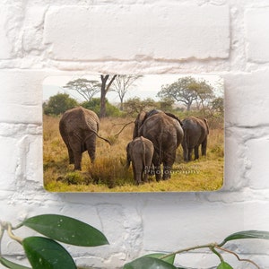 Elephant Family photo block | A fine art photograph of Elephants in the Serengeti | for wall, decor, nursery or gift by Alexander Nesbitt