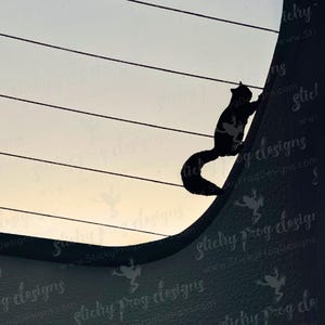 May include: Silhouette of a squirrel climbing a curved surface, set against a pale sky with horizontal lines. The squirrel is black, with a long, curved tail. The surface is dark, with the text "Sticky Frog Designs" repeated.