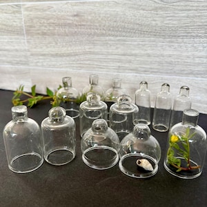 Antique Miniature Glass Cloches, Bell-Shaped Hand Blown Display Domes, Ventouse, Sold Separately, Collectible Glass
