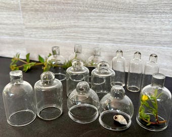 Antique Miniature Glass Cloches, Bell-Shaped Hand Blown Display Domes, Ventouse, SOLD SEPARATELY