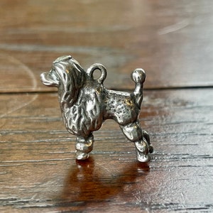WEVENI Cute Poodle Dog Necklace - Zinc Alloy Pet Charm Pendant For Women Girls, Hypoallergenic Jewelry Gift - View #4