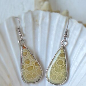 May include: A pair of teardrop-shaped earrings with a silver setting and a light beige fossilized coral inlay.