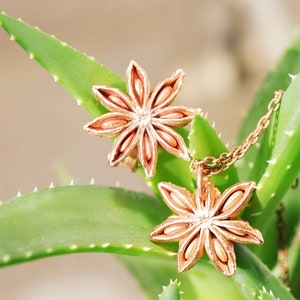 Puede incluir: Un collar de cadena dorada con dos colgantes de anís estrellado. El collar se muestra en una planta suculenta verde.