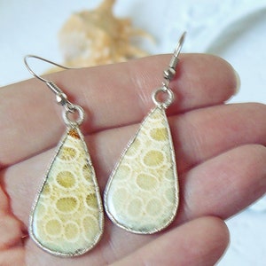 May include: A pair of teardrop-shaped earrings with a silver setting and a light beige fossilized coral inlay. The coral has a circular pattern.