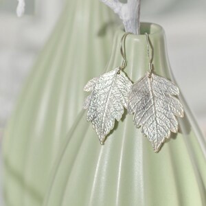 Pode incluir: Brincos de folha de prata com um design delicado e detalhado. Os brincos estão pendurados em um vaso com um esmalte verde claro.
