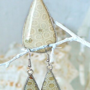 May include: A set of silver earrings and a pendant featuring fossilized coral in a teardrop shape. The coral is a light beige color with a swirling pattern.