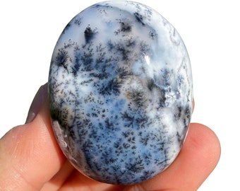May include: A polished, oval-shaped dendritic agate stone. The stone features a white and light blue base with intricate black, tree-like inclusions. The stone is held in a hand against a white background, highlighting its natural patterns and colors.