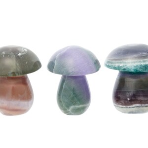 Fluorite Mushroom - Rainbow Fluorite Crystal Mushroom - Fluorite Stone Mushroom - Polished Crystal Mushroom Decor - Fluorite Mushroom Gifts