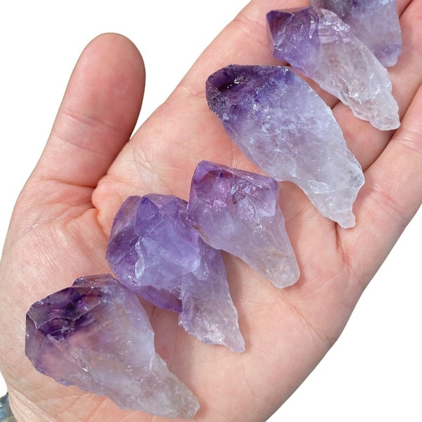 Amethyst Point with Root (1" - 4") - AB Grade - Rough Amethyst Crystal - Dragon Tooth Amethyst - Amethyst Crystal Points with Root