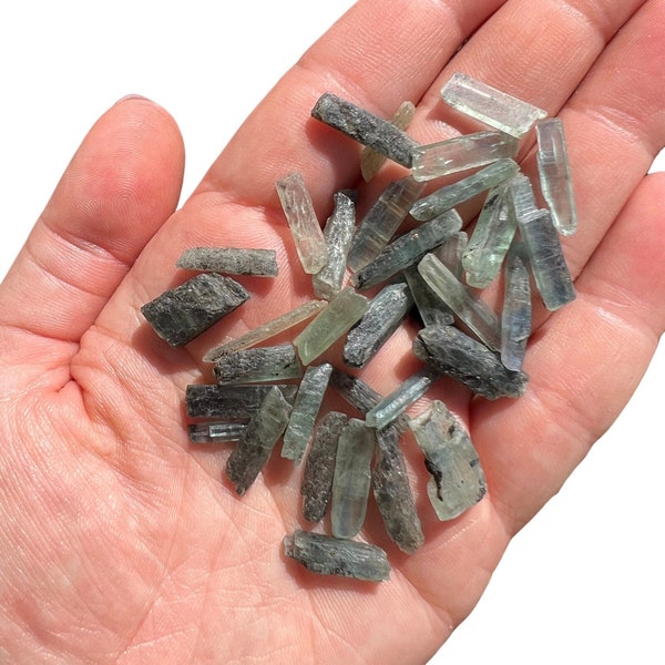 Raw Blue Green Kyanite Crystal Blade (0.25" - 1.75") Green Blue Kyanite Stone - Raw Green Kyanite Crystal - Raw Blue Kyanite - Mini Kyanite