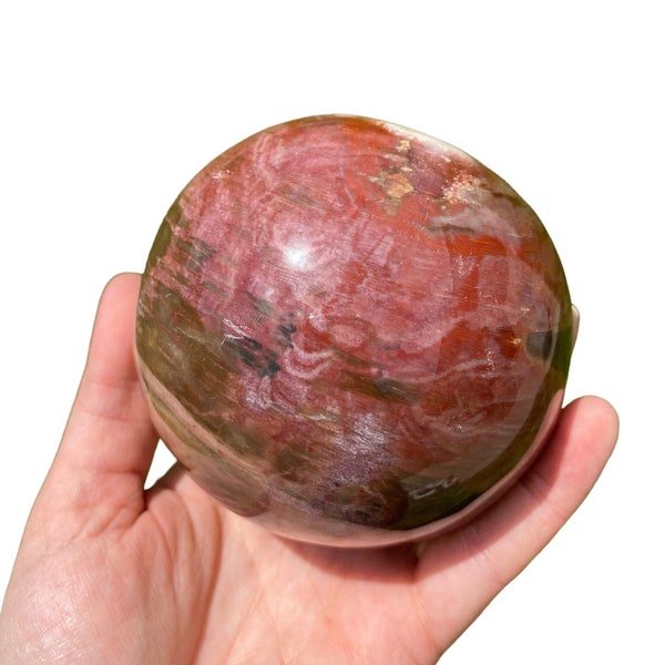 Petrified Wood Crystal Sphere - Genuine Fossilized Wood Stone Sphere - Polished Petrified Wood Sphere - Unique Crystal Ball - 10