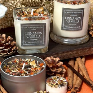 Cinnamon Vanilla Candles - Fall Candles - Warm Vanilla Candle - Made with Crystals - Soy Tealights - Vanilla Cinnamon Candle - Handmade!