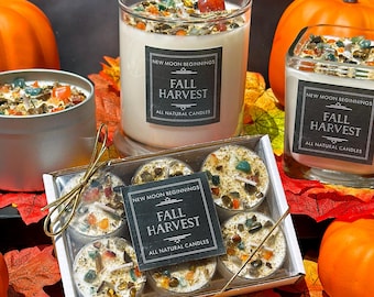 Fall Harvest Candle - Fall Candles - Autumn Equinox Candle - Mabon Crystal Candle - Mabon Ritual Candle - Soy Autumn Candle Gift - Handmade!