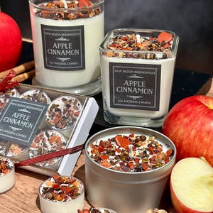 Apple Cinnamon Candles - Fall Candles - Handmade Soy Candle - Cinnamon Candle - Fruity & Spicy Autumn Candle - Apple Cinnamon Scented Candle