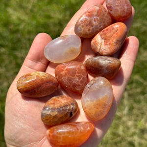 May include: A collection of polished, oval-shaped gemstones in shades of orange, brown, and cream. The stones have unique patterns and textures, held in an open hand against a backdrop of green grass. These natural stones are ideal for collectors or for use in jewelry making.