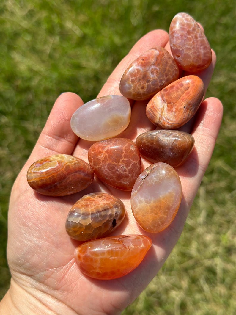 May include: A collection of polished, oval-shaped gemstones in shades of orange, brown, and cream. The stones have unique patterns and textures, held in an open hand against a backdrop of green grass. These natural stones are ideal for collectors or for use in jewelry making.