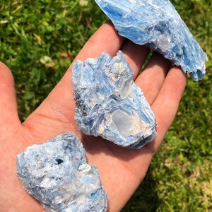 May include: Three blue kyanite crystal clusters with a layered, striated texture. The crystals are arranged on a hand, showcasing their size and shape.