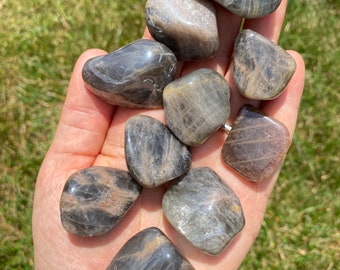 Black Moonstone Tumbled Stone - Multiple Sizes Available - Polished Black Moonstone Crystal - Flashy Moonstone Gemstone - Grey Moonstone