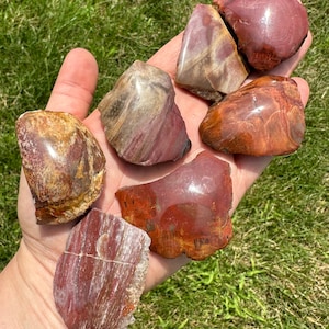 Petrified Wood Stone - One Side Polished - Petrified Wood Slab - Petrified Wood Slice - Fossil Specimen - Fossilized Wood Crystal