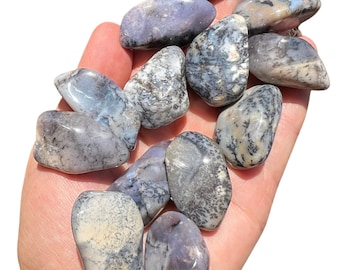 Tumbled Dendritic Agate Stone (.75"-1.5") Multiple Sizes Available - Dendritic Agate Crystal - Dendritic Tumbled - Polished Dendrite Agate