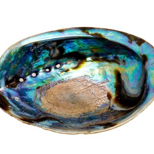 Abalone Shell 56 Large Abalone Shell Rainbow Abalone Shell Natural Abalone Shell Bowl Crystal Holder Cleansing Stick Holder image 7