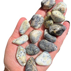 Tumbled Dendritic Opal Stone - Multiple Sizes Available - Tumbled Dendritic Opal Crystal - Polished Dendrite Gemstone - Natural Moss Opal