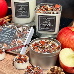 Apple Cinnamon Candles - Fall Candles - Handmade Soy Candle - Cinnamon Candle - Fruity & Spicy Autumn Candle - Apple Cinnamon Scented Candle