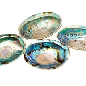 Abalone Muschel 5 6 Große Abalone Muschel Regenbogen Abalone Muschel Natürliche Abalone Muschelschale Kristallhalter Reinigungsstabhalter Bild 8