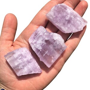 Puede incluir: Tres trozos de cristal de selenita de color p&uacute;rpura claro se sostienen en una mano. Los cristales tienen una apariencia en capas y texturizada y var&iacute;an ligeramente en forma. El fondo es blanco liso, resaltando el color y la forma de los cristales.