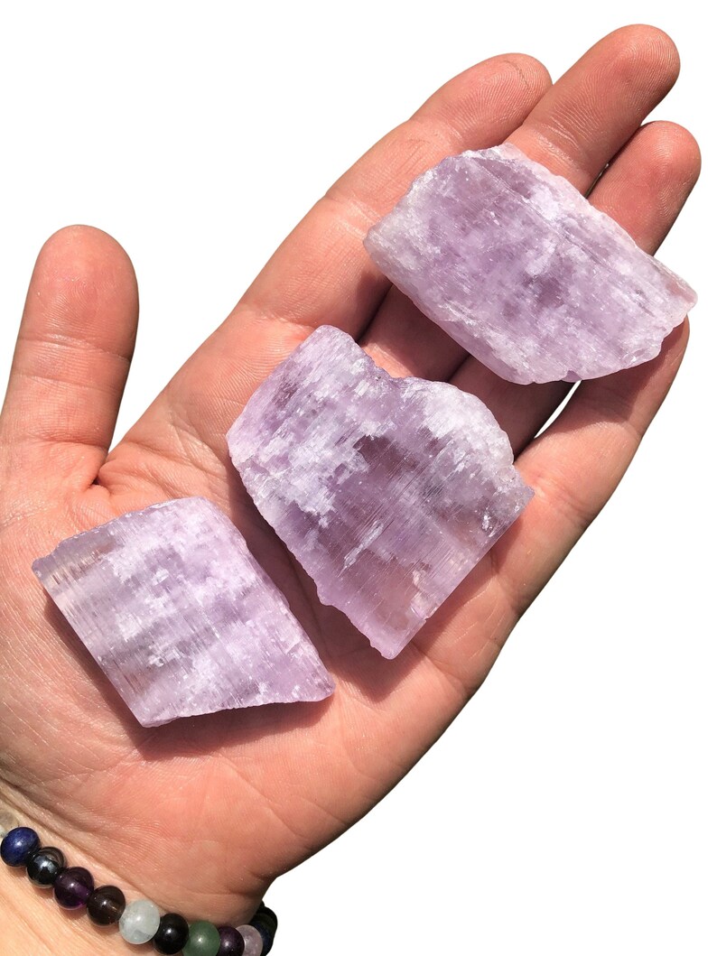 Puede incluir: Tres trozos de cristal de selenita de color p&uacute;rpura claro se sostienen en una mano. Los cristales tienen una apariencia en capas y texturizada y var&iacute;an ligeramente en forma. El fondo es blanco liso, resaltando el color y la forma de los cristales.