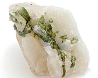 May include: A cluster of green actinolite crystals embedded in a white quartz matrix. The crystals are long and slender, with a glassy lustre. The quartz is translucent and has a milky white colour.