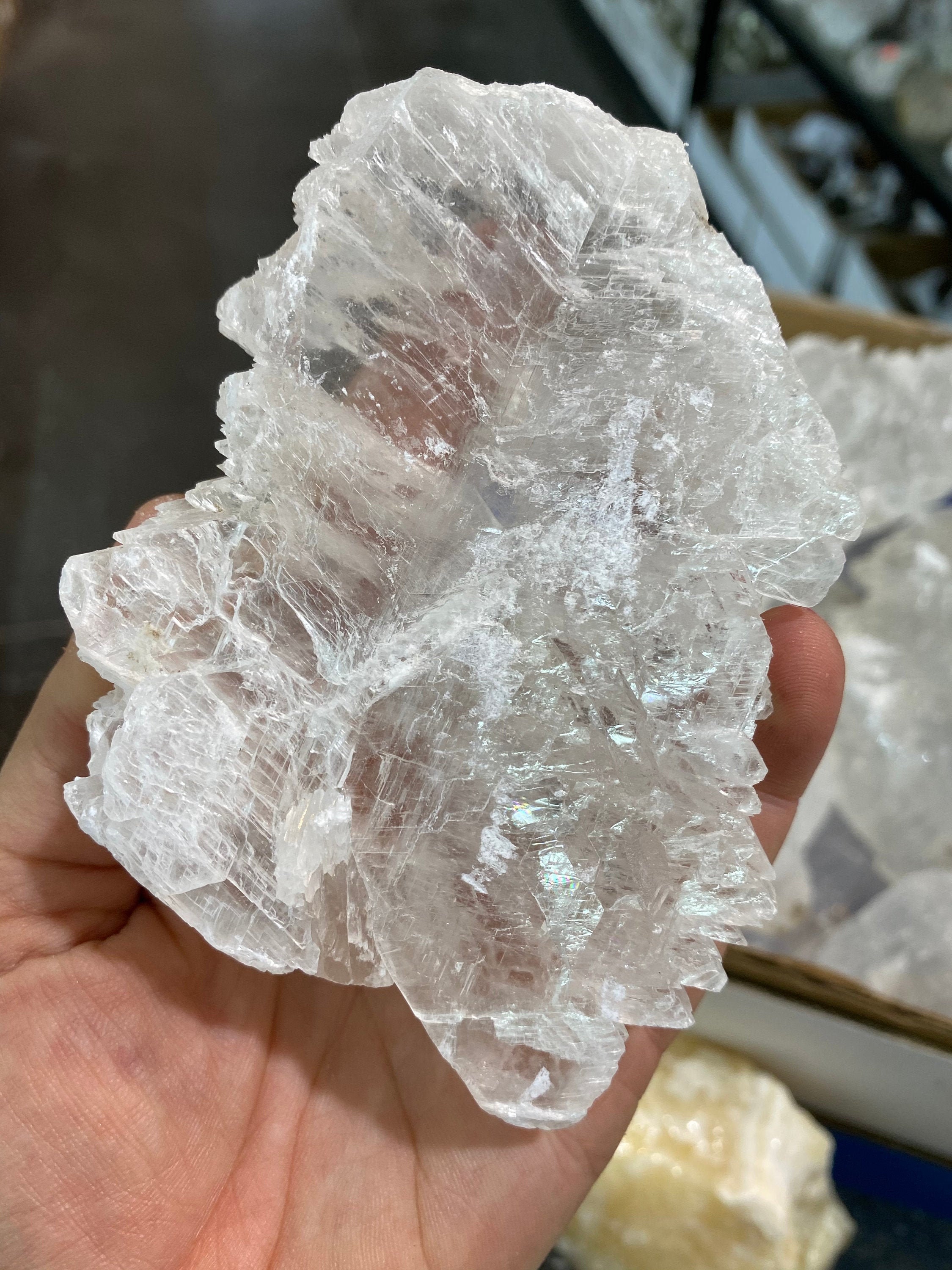 フィッシュテールセレナイト（1インチ - 7インチ） - 原石セレナイト