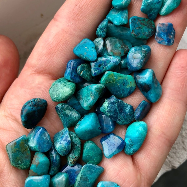 Chrysocolla Tumbled Crystal - (xsmall) .25" to .5" - Tumbled Chrysocolla Chip - Polished Chrysocolla Stone - Natural Blue and Green Gemstone