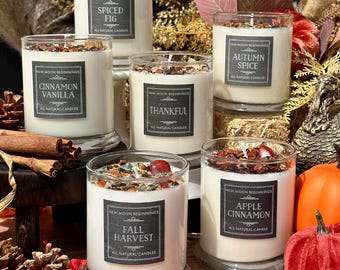 Handmade Fall and Halloween Candles - Autumn Scented Candle - Fall Candle Gift -  Soy Tealights - Pumpkin Jar Candle - Fall Crystal Candles
