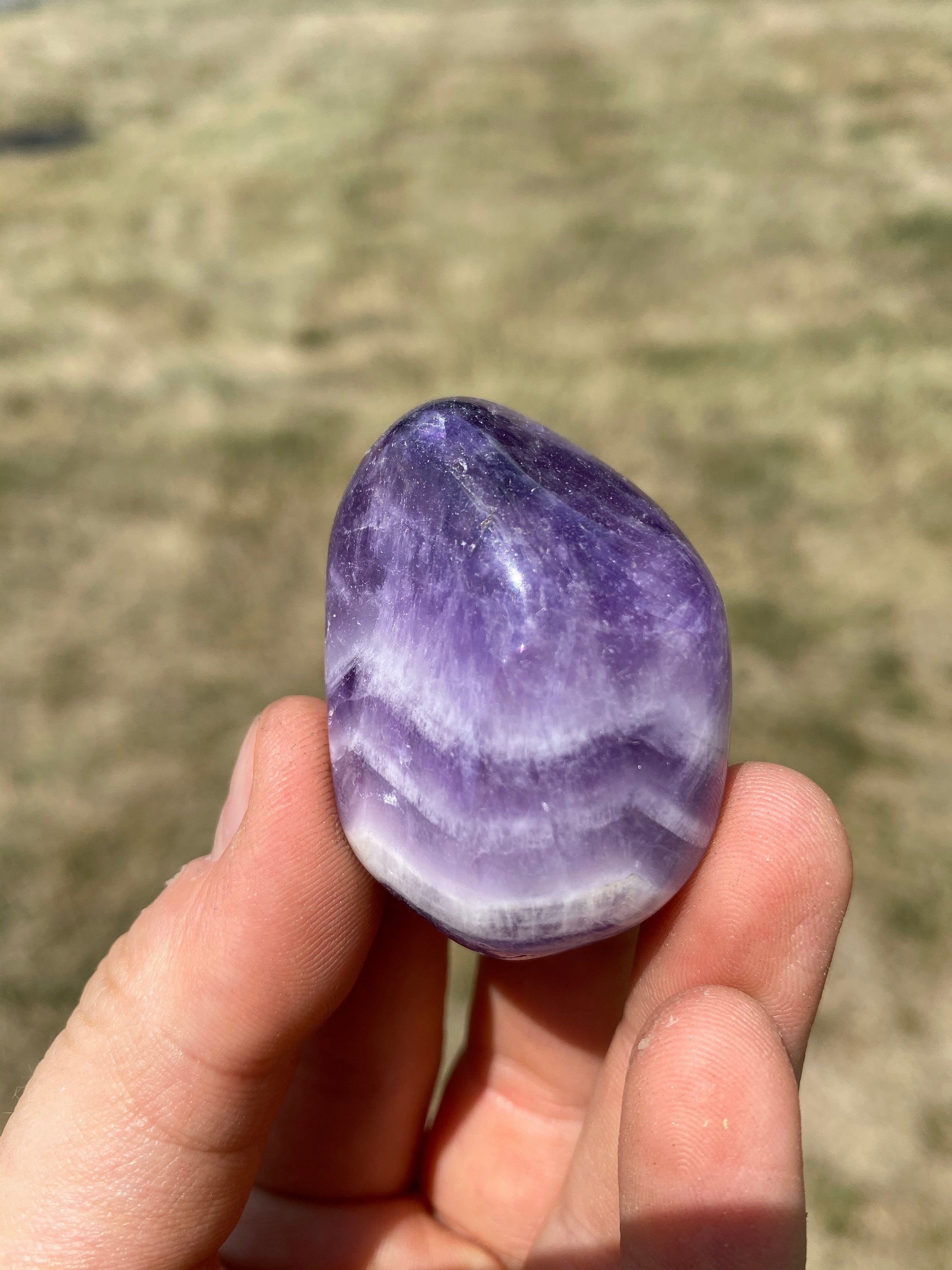 こたつ amethyst Quartz var. Amethyst - MUN16-26 - Jackson Crossroads - USA
